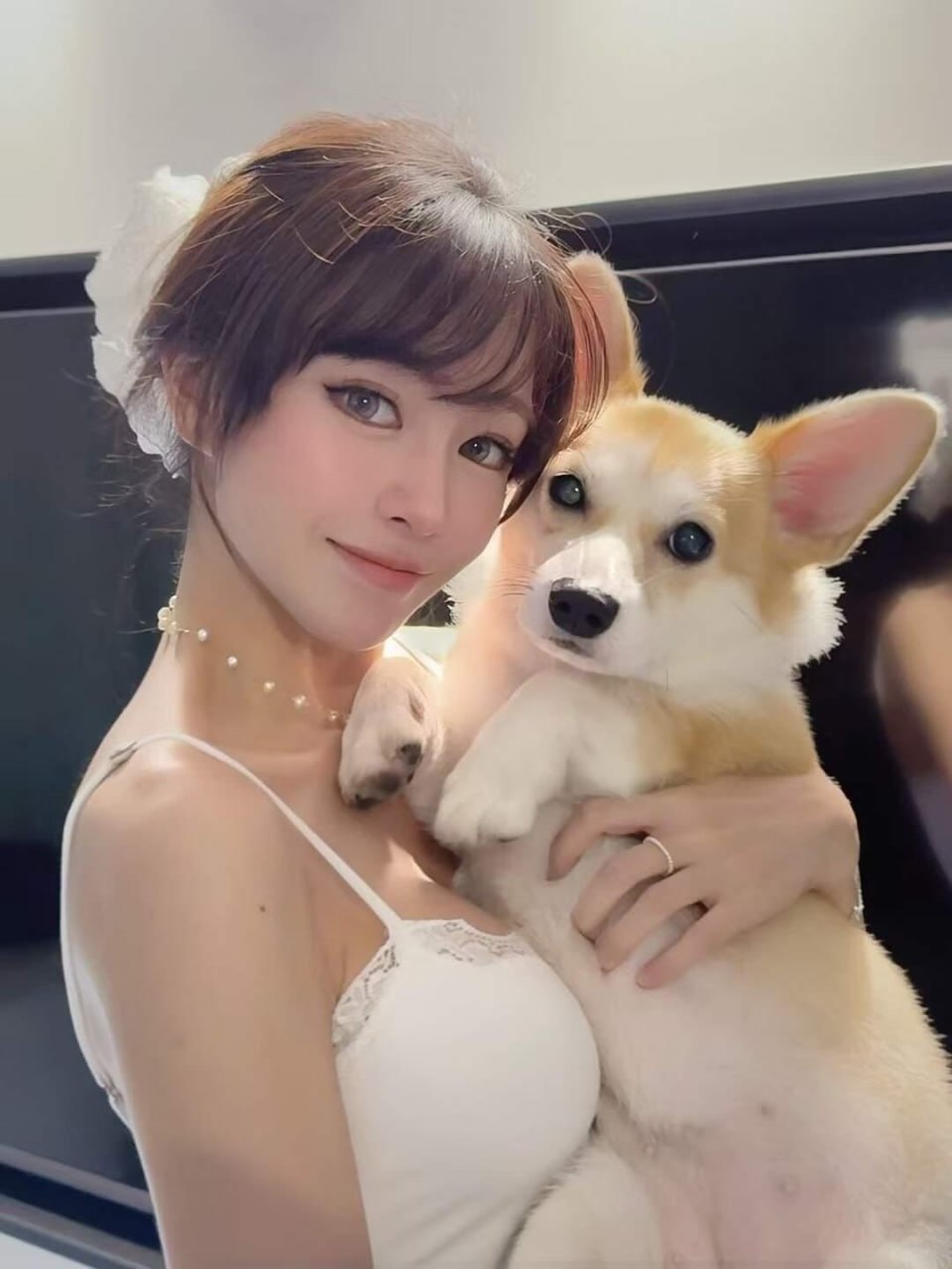 人间小奶猫盘发配浅色花饰,穿白色吊带衣装抱着柯基犬 人间小奶猫盘发配浅色花饰,穿白色吊带衣装抱着柯基犬