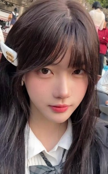 一只香 白色领口与灰格领带的正面近景 一只香 白色领口与灰格领带的正面近景